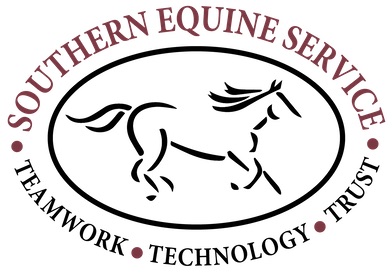This image has an empty alt attribute; its file name is southern_equine2.jpg